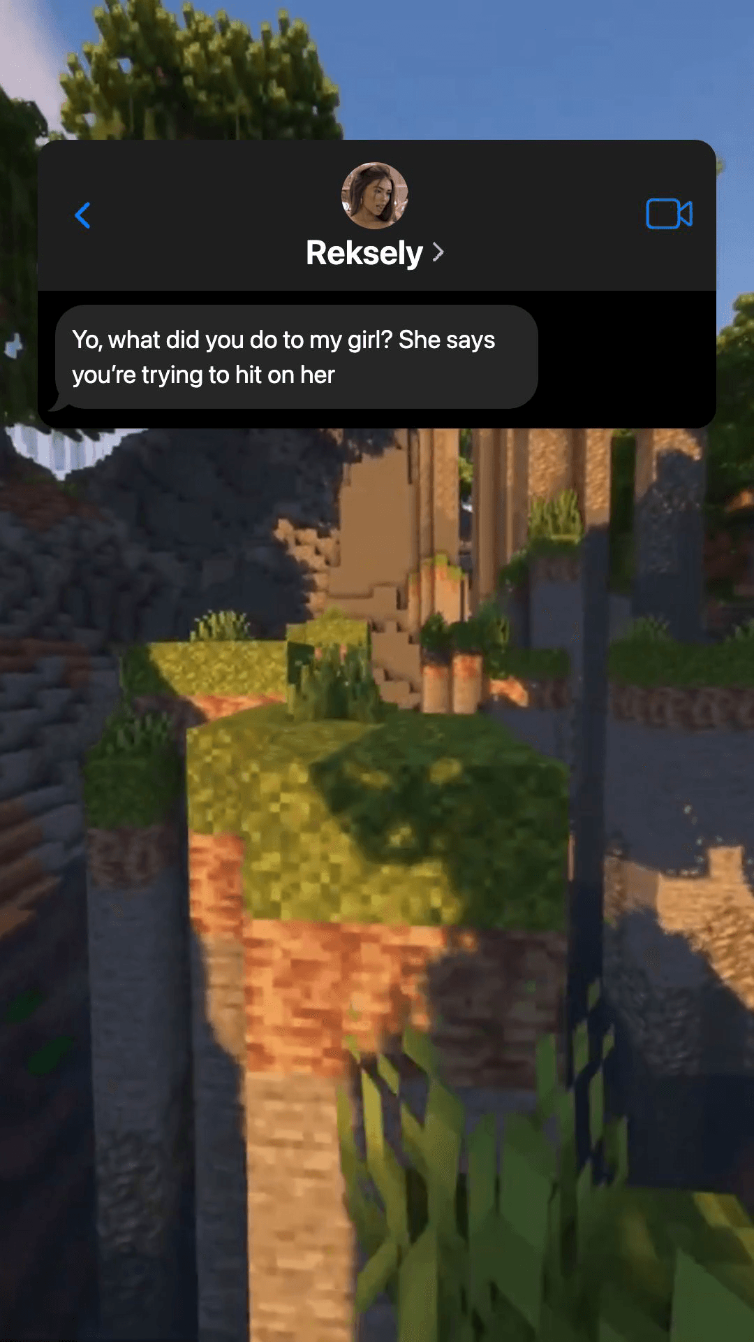 Fake Text Messages example